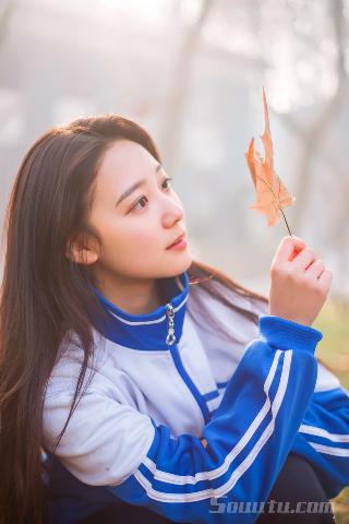 《漂亮的女邻居5》HD 到底藏着什么秘密？数字谜团大揭秘！