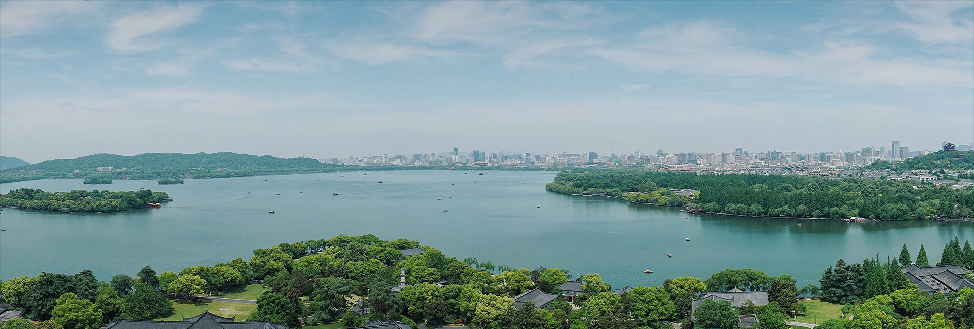 大維高新(xīn)